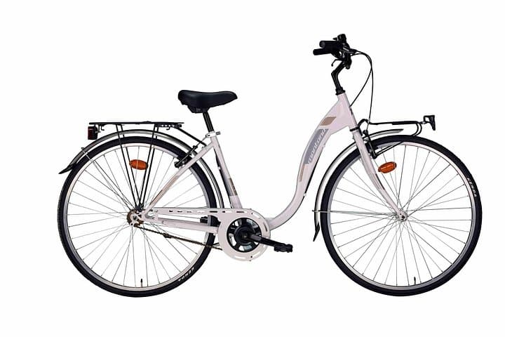 City Bike Rental in Lucca: Explore Historic Walls and Hidden Streets photo 4
