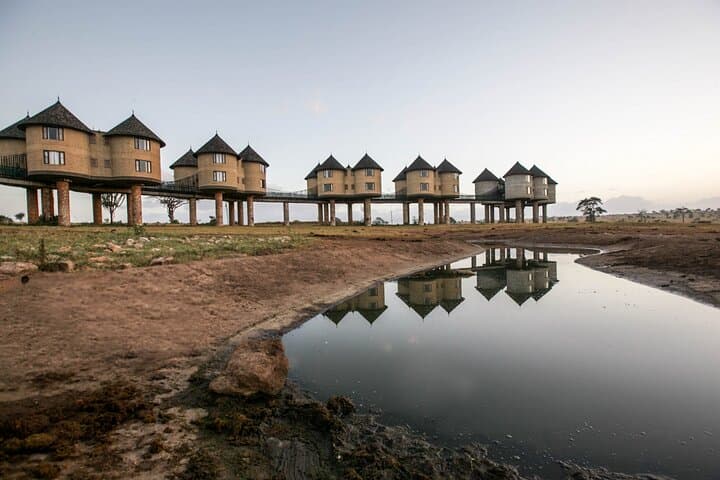 7-Day Kenya Safari: Amboseli, Salt Lick & Tsavo Wildlife Adventure photo 2