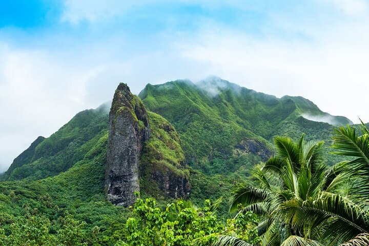 Private Raiatea & Taha’a Lagoon Cruise — Snorkel Coral Gardens & Visit Vanilla Plantations photo 2