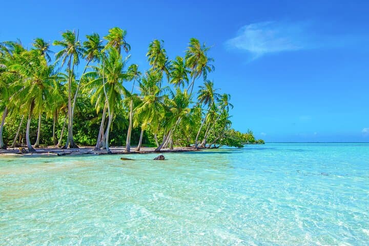 Private Raiatea & Taha’a Lagoon Cruise — Snorkel Coral Gardens & Visit Vanilla Plantations photo 1
