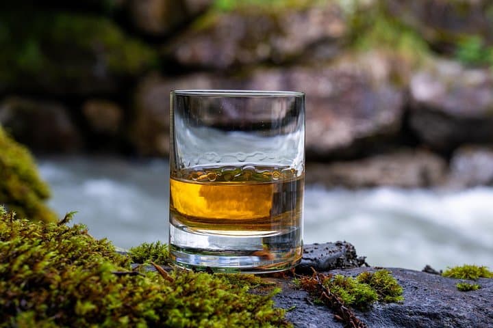 Loch Ness and Urquhart Castle Shore Excursion from Invergordon — Boat Cruise & Whisky Tasting photo 2
