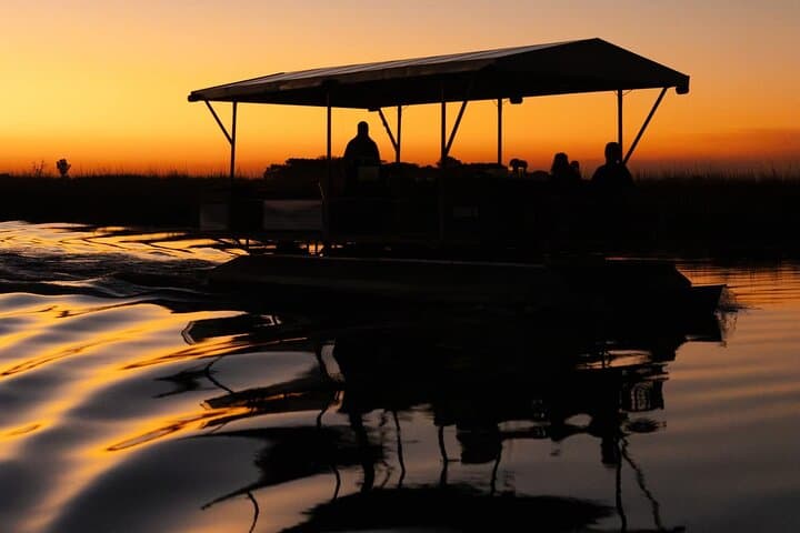 Chobe National Park Safari Daytrip from Livingstone — Day Safari to Botswana’s Big Game