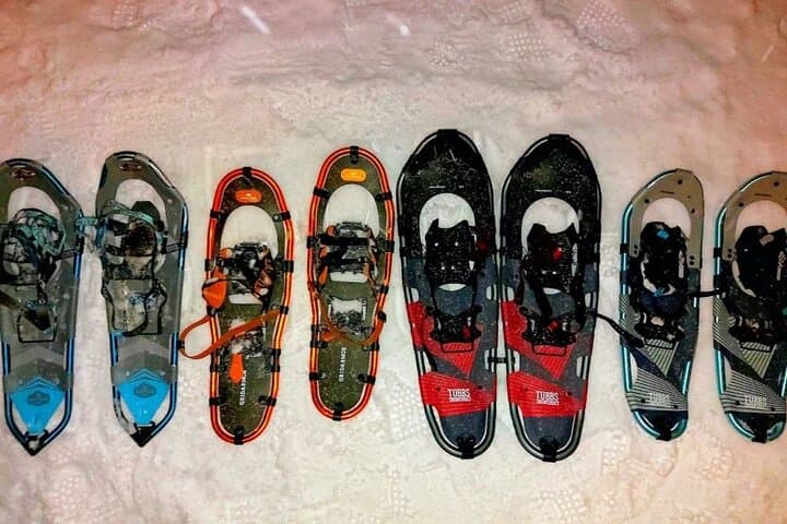 Fjellheisen Snowshoe: Guided Tromsdalen Two-Hour Arctic Trek photo 5