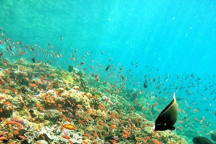 3-Day Bali Adventure: Ubud ATVs, Sekumpul Waterfall & Nusa Penida Snorkel