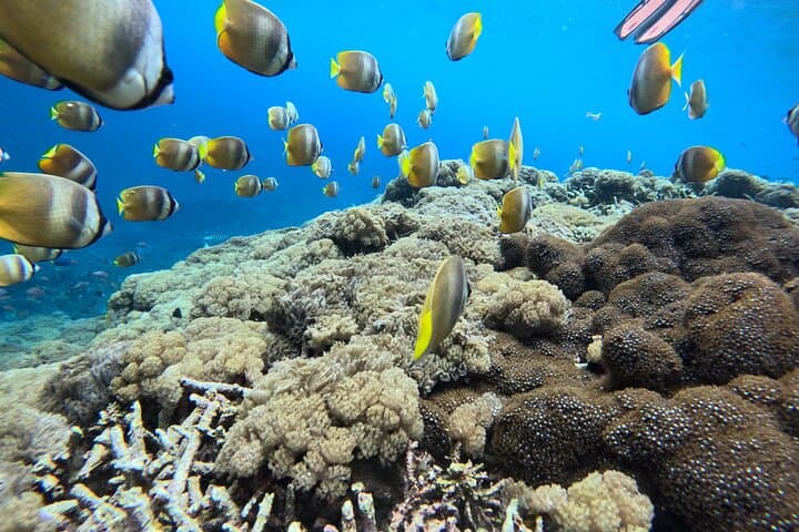 3-Day Bali Adventure: Ubud ATVs, Sekumpul Waterfall & Nusa Penida Snorkel photo 3