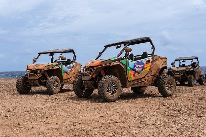 Epic West Coast UTV Adventure in Curaçao — Natural Pool, Caves & Flamingos photo 4