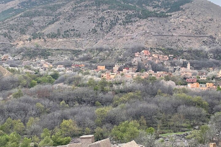 Day Trip to Imlil — High Atlas Hiking and Berber Village Tour from Marrakech photo 2
