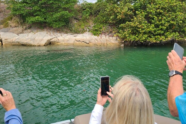 Jupiter Intracoastal 2-Hour Private Sightseeing Cruise: Lighthouse, Mangroves & Wildlife photo 4