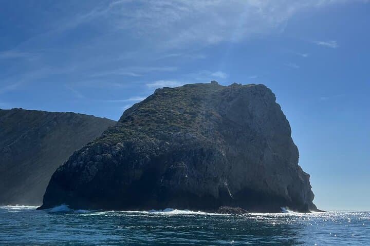 sesimbra-north-route-boat-tour-wild-coast-lagosteiros photo 4
