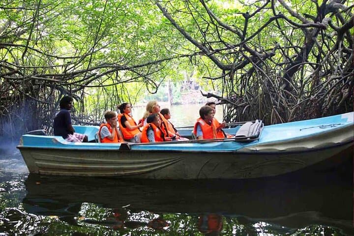Paramotoring and Mangrove River Safari in Bentota: Coastal Flight and Wildlife Boat Tour photo 5