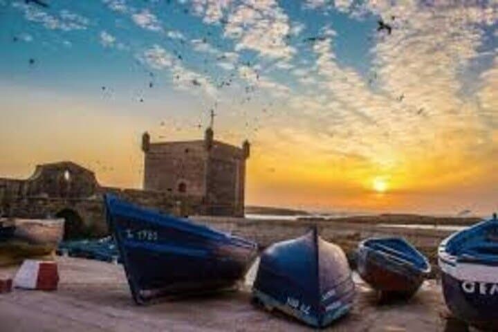 Essaouira Day Trip from Marrakech: Coastal Medinas, Argan Goats & Fresh Seafood photo 2