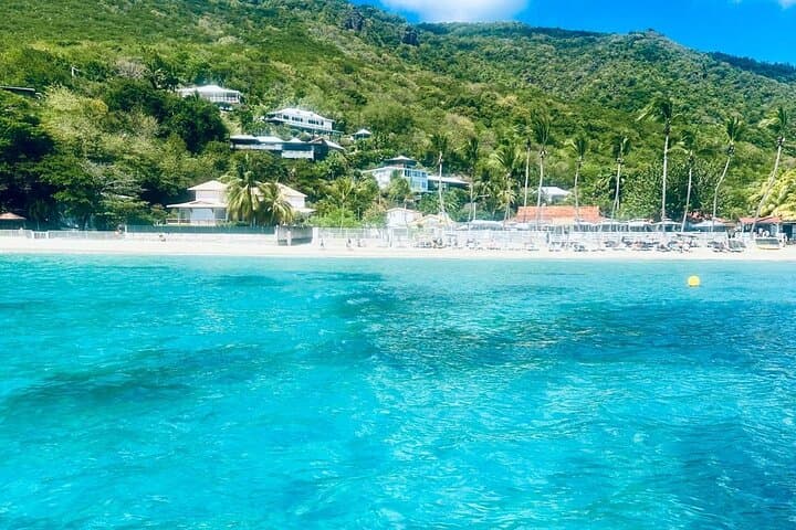 Full-Day Speed Boat to Dolphins, Turtles & Southern Coves — Martinique photo 5