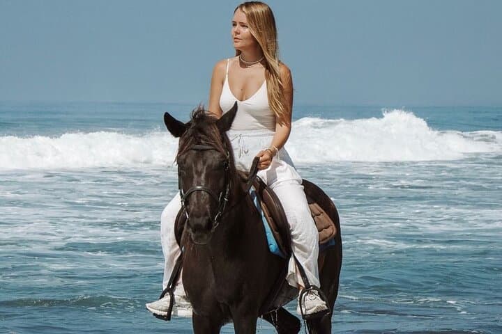 Hurghada Beach-to-Desert Horseback Ride — 2-Hour Red Sea Experience