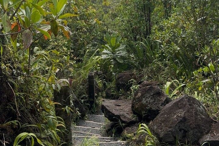 Arenal Volcano Hike: La Fortuna Day Hike to Old Lava Fields photo 5