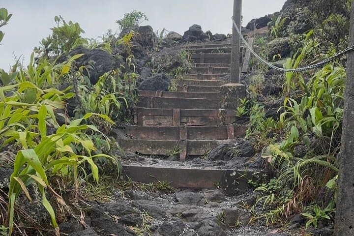 Arenal Volcano Hike: La Fortuna Day Hike to Old Lava Fields photo 3