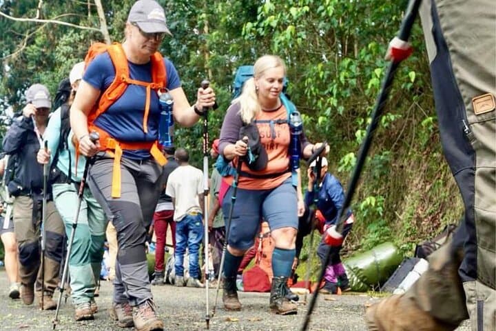 Kilimanjaro Half-Day Hike: Marangu Rainforest Trek to Mandara Hut photo 4