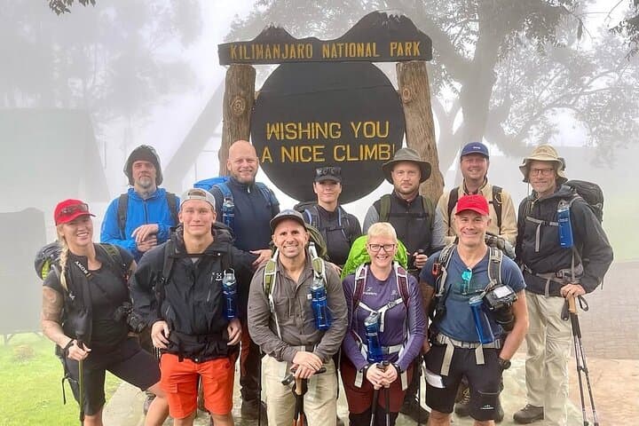 Kilimanjaro Half-Day Hike: Marangu Rainforest Trek to Mandara Hut
