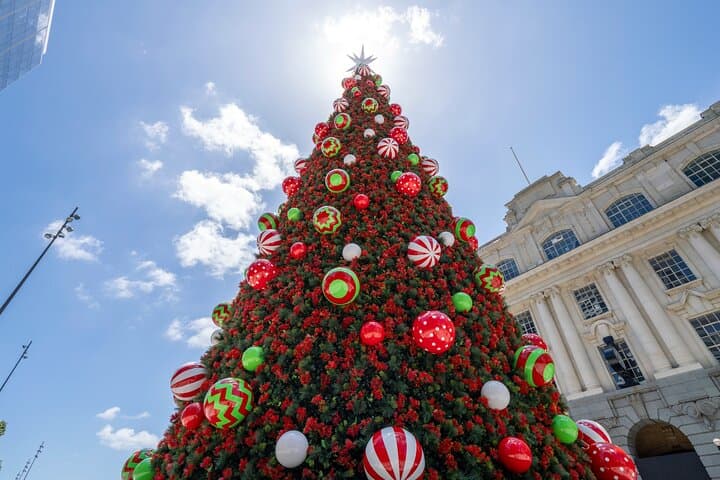 Auckland Christmas Walking Tour: City Lights & Waterfront Evening Stroll photo 2