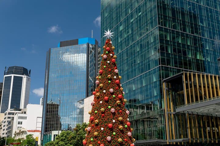 Auckland Christmas Walking Tour: City Lights & Waterfront Evening Stroll photo 6