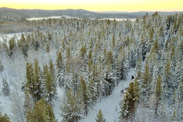 Husky Adventure 10km — Saariselkä Husky Safari & Mushing Experience photo 5
