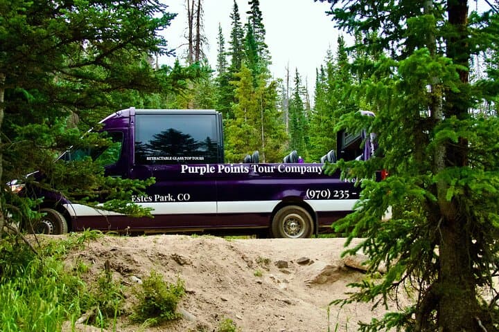 Moosin' Around: Wildlife Viewing in Rocky Mountain National Park photo 2