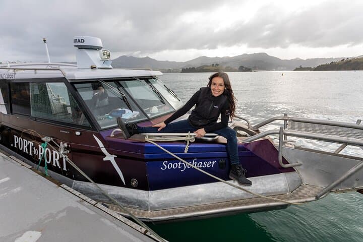 Harbour to Highlands: Scenic Ferry and Larnach Castle Tour in Dunedin photo 4