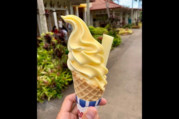 Oahu Combo: Dole Plantation, Kō Hana Rum & 3‑Zipline Adventure from Waikiki photo 3
