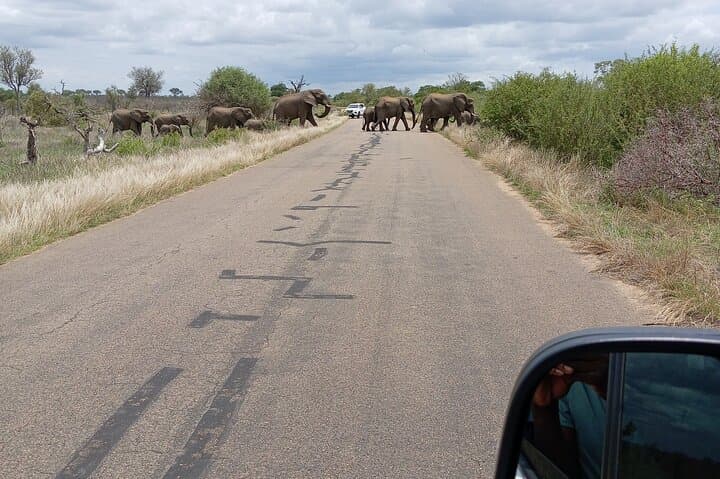 Luxury Kruger Safari: 6-Day Big Five & Panorama Route Experience