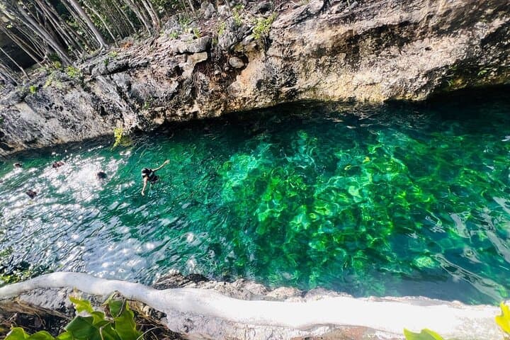 Explore 4 Cenotes at Casa Tortuga: Turtle House, Caverns & Open Sinks