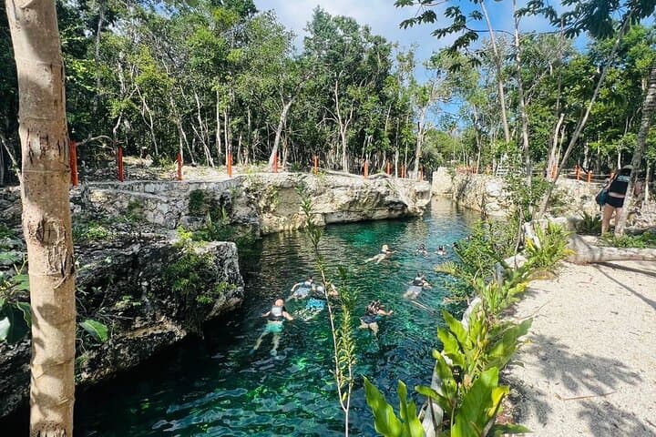 Explore 4 Cenotes at Casa Tortuga: Turtle House, Caverns & Open Sinks photo 2