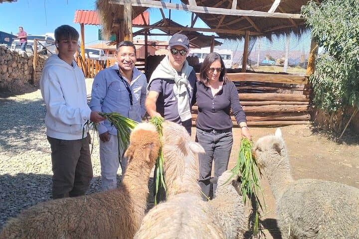 Cusco City Tour: Explore Qoricancha, Sacsayhuaman & San Blas in a Day photo 3