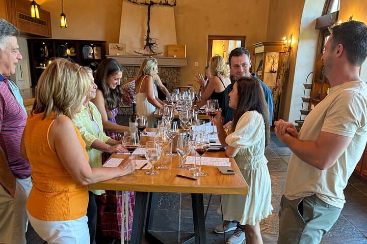 Healdsburg 6-Hour Private Luxury SUV Wine Tour — Coppola, J Vineyards & Rodney Strong photo 1