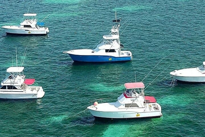 Punta Cana Pro Fishing Adventure: Deep-Sea Charter for Mahi, Tuna & Sailfish photo 6