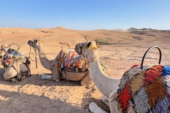 Agafay Desert Quad Biking and Sunset Camel Trek from Marrakech photo 5