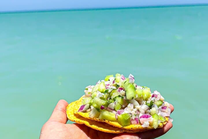 Holbox Island Day Trip from Cancun — Islands, Wildlife & Yalahau Spring photo 3
