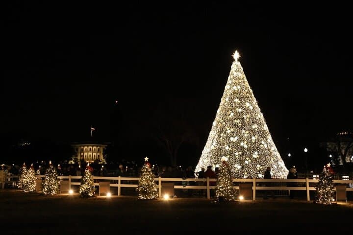 Holiday Lights Tour at the U.S. Capitol, White House & Memorials — Washington DC Evening Walk