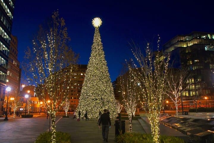 Holiday Lights Tour at the U.S. Capitol, White House & Memorials — Washington DC Evening Walk photo 2