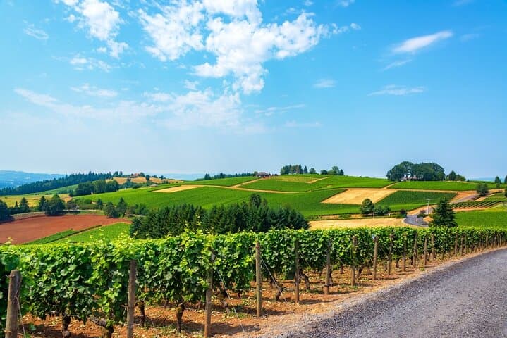 Willamette Valley Wine Tasting Tour from Portland — Stoller & Cana's Feast