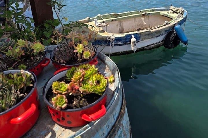 Zadar Speed-RIB Tour to Hidden Bays — Snorkel, Swim & Drinks (Half-Day) photo 6
