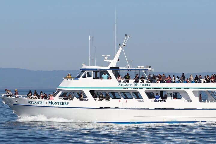Monterey Bay Winter Whale Watching Aboard Large Heated Vessels photo 2