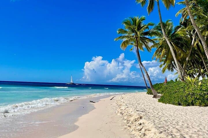 A Magical Day on Saona Island — All‑Inclusive Catamaran to the Natural Pool