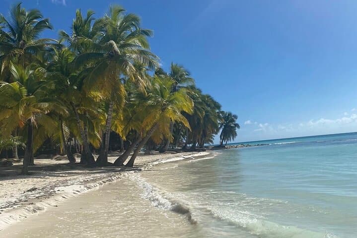 A Magical Day on Saona Island — All‑Inclusive Catamaran to the Natural Pool photo 3