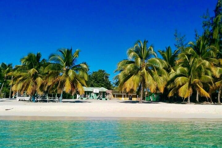 A Magical Day on Saona Island — All‑Inclusive Catamaran to the Natural Pool photo 6