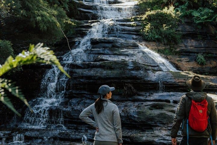 Blue Mountains Small-Group Day Tour: Featherdale, Wentworth Falls & Three Sisters photo 6