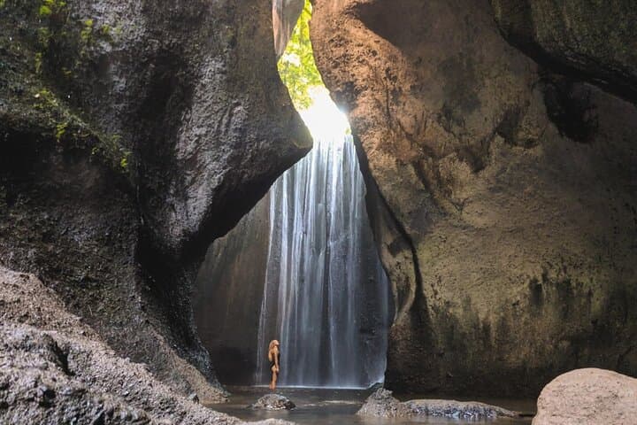 Ubud Waterfalls, Tegalalang Rice Terraces & Monkey Forest Day Tour