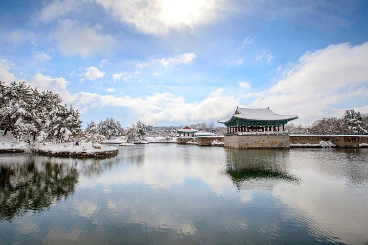 Busan Sky Capsule to Gyeongju: Full-Day UNESCO Heritage & Coastal Ride photo 4