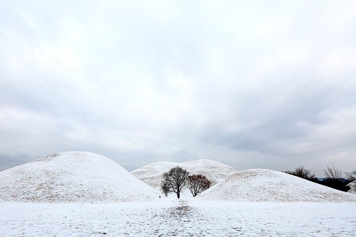 Busan Sky Capsule to Gyeongju: Full-Day UNESCO Heritage & Coastal Ride photo 3