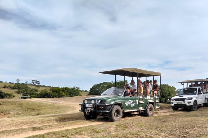 Schotia Private Game Reserve — Half-Day 4x4 Safari from Port Elizabeth