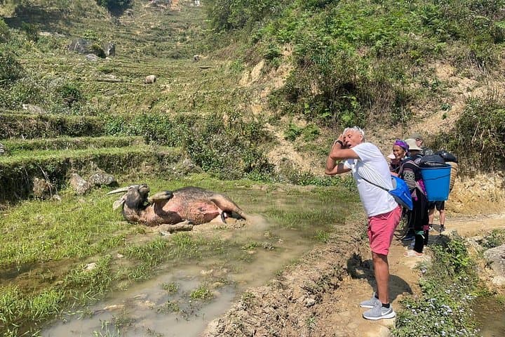 Sapa Half-Day Trek to Ta Van: Muong Hoa Terraces & H’Mong Village photo 3