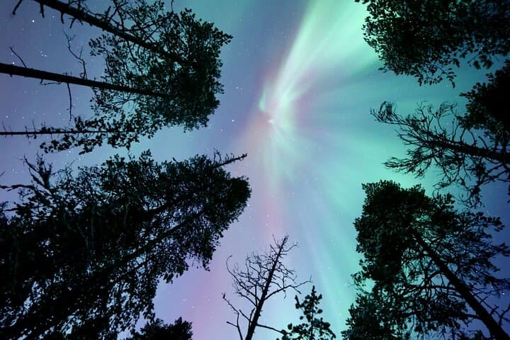 Private Northern Lights Hunt from Rovaniemi — Kota Hut, Campfire & Hotel Transfers photo 5